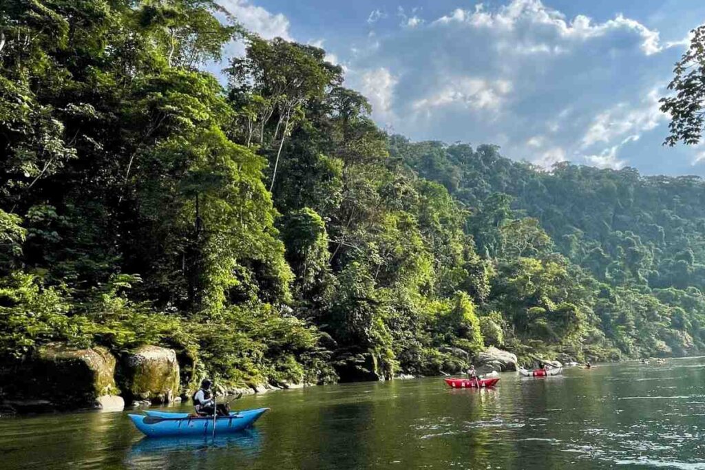 Oars in Ecuador